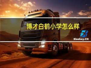 博才白鹤小学怎么样