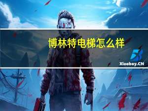 博林特电梯怎么样