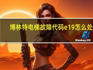 博林特电梯故障代码e19怎么处理（博林特电梯故障代码）