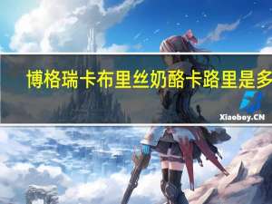 博格瑞 卡布里丝奶酪卡路里是多少