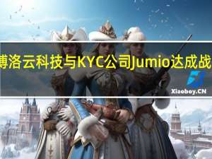 博洛云科技与KYC公司Jumio达成战略合作