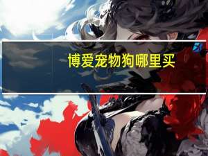 博爱宠物狗哪里买
