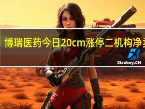 博瑞医药今日20cm涨停 二机构净卖出1.72亿元