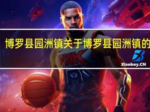博罗县园洲镇 关于博罗县园洲镇的介绍