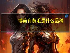 博美有黄毛是什么品种