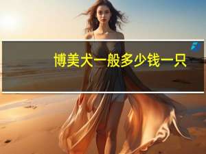 博美犬一般多少钱一只（小博美犬多少钱一只）
