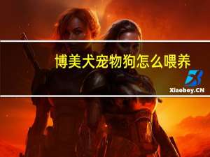 博美犬宠物狗怎么喂养