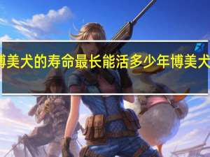 博美犬的寿命最长能活多少年 博美犬的寿命