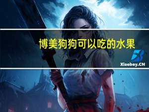 博美狗狗可以吃的水果