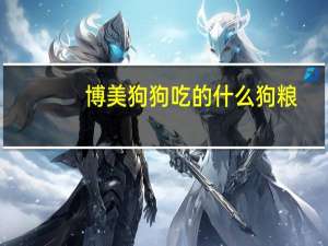 博美狗狗吃的什么狗粮