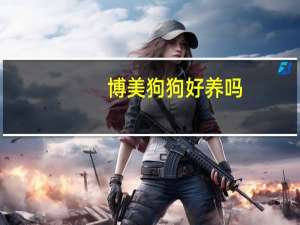 博美狗狗好养吗