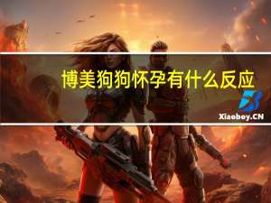 博美狗狗怀孕有什么反应