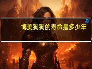 博美狗狗的寿命是多少年