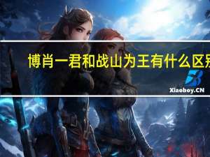 博肖一君和战山为王有什么区别