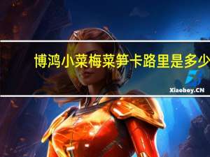 博鸿小菜 梅菜笋卡路里是多少