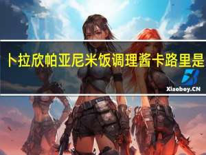 卜拉欣 帕亚尼米饭调理酱卡路里是多少