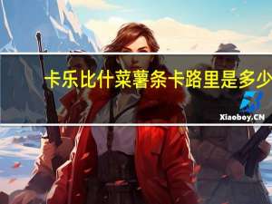 卡乐比 什菜薯条卡路里是多少