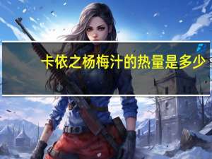 卡依之 杨梅汁的热量是多少