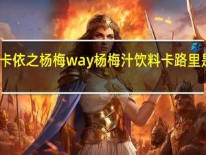 卡依之 杨梅way杨梅汁饮料卡路里是多少