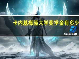 卡内基梅隆大学奖学金有多少