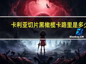 卡利亚切片黑橄榄卡路里是多少