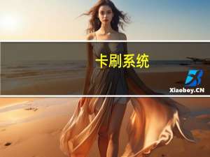 卡刷系统（卡刷教程）