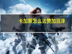 卡加斯怎么去赞加沼泽（卡加斯怎么去）