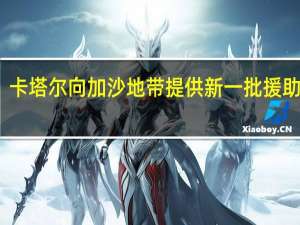 卡塔尔向加沙地带提供新一批援助物资