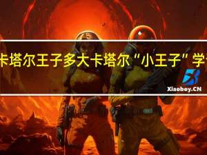 卡塔尔王子多大 卡塔尔“小王子”学说中文