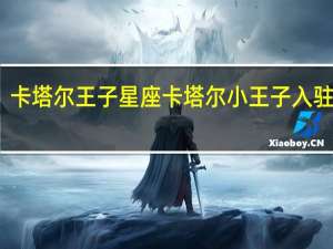 卡塔尔王子星座 卡塔尔小王子入驻头条