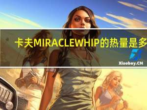 卡夫 MIRACLEWHIP的热量是多少