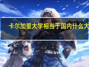 卡尔加里大学相当于国内什么大学