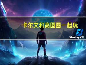 卡尔文和高圆圆一起玩