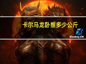 卡尔马龙卧推多少公斤