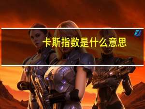 卡斯指数是什么意思