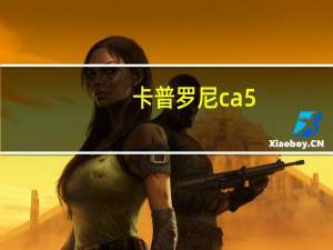 卡普罗尼ca5（意大利卡普罗尼CA133运输机简介）