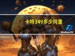 卡特349多少吨重
