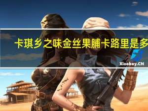 卡琪 乡之味金丝果脯卡路里是多少