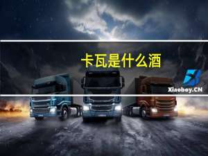 卡瓦是什么酒