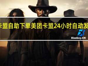 卡盟自助下单 美团卡盟24小时自动发卡平台(卡盟平台官网自助)