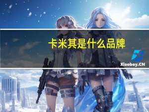 卡米其是什么品牌