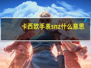 卡西欧手表snz什么意思