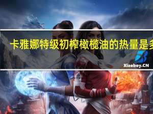 卡雅娜 特级初榨橄榄油的热量是多少