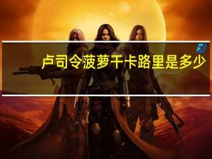 卢司令 菠萝干卡路里是多少