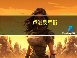 卢浚泉军衔（卢功勋）