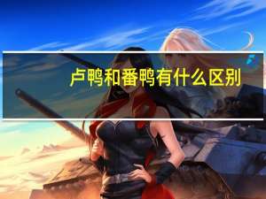 卢鸭和番鸭有什么区别