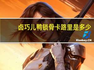 卤巧儿 鸭锁骨卡路里是多少