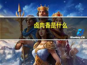 卤肉香是什么