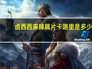卤西西 麻辣藕片卡路里是多少