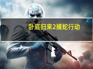 卧底归来2捕蛇行动（卧底归来2）